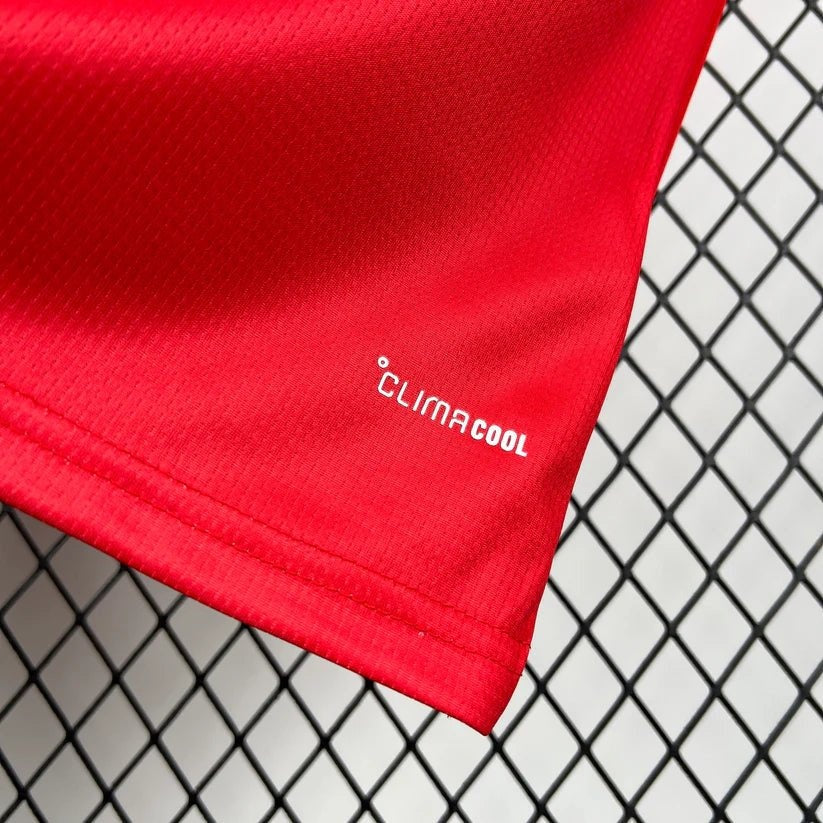 Wales 2026 World Cup Home Jersey