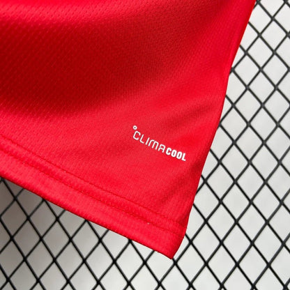 Wales 2026 World Cup Home Jersey