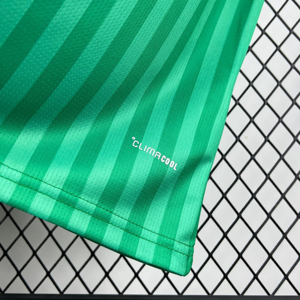 Algeria 2026 World Cup Away Jersey